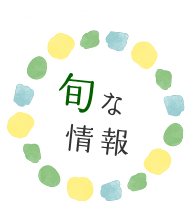 旬な情報